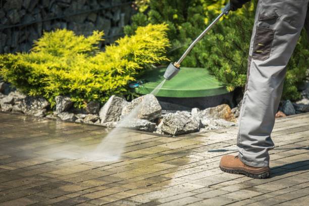 Best Restaurant Pressure Washing  in Pirtleville, AZ