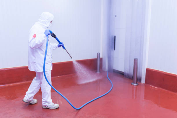 Best Oil Spill Cleanup  in Pirtleville, AZ